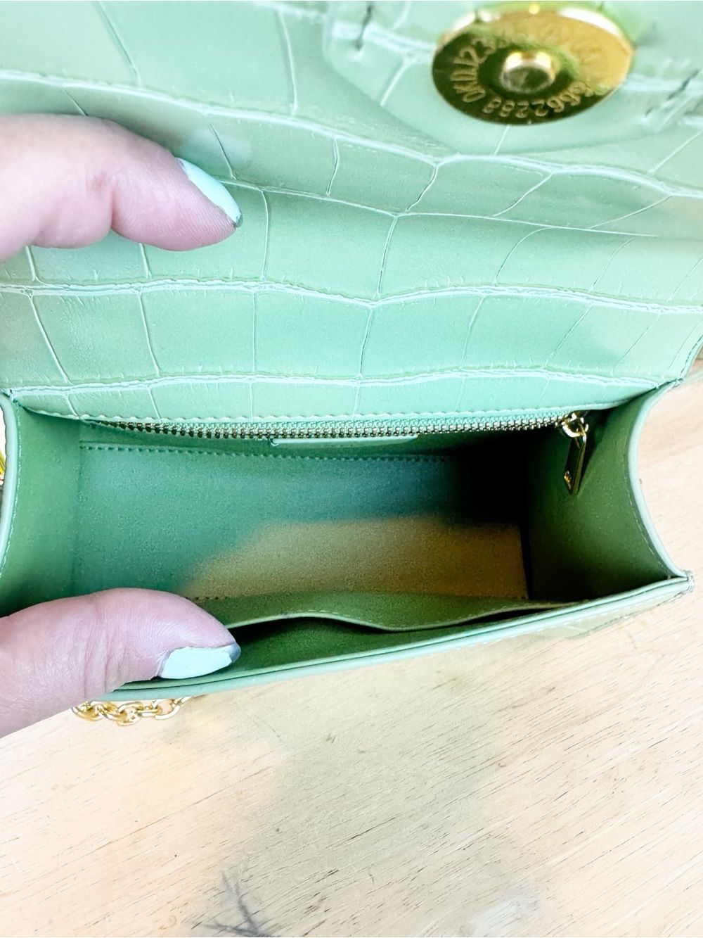 JW Pei | Green Croc Top Handle Crossbody Mini Bag - Picture 12 of 12